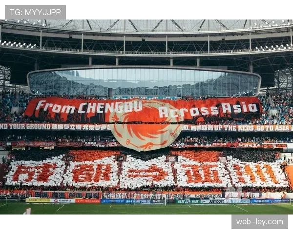 球迷抗议票价上涨，多场比赛看台出现空座现象